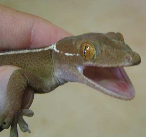 PICT0024.JPG