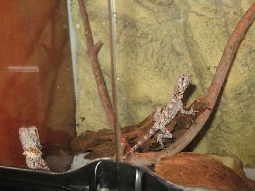 IMG_1749a.JPG