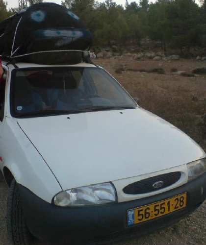 הברווז1.JPG