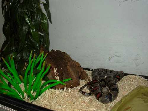 DSCN0724.JPG