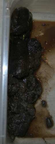 DSCN2719.JPG