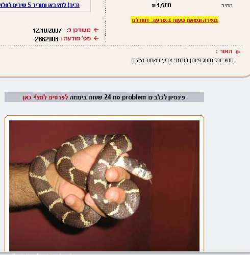 qwf_176.JPG