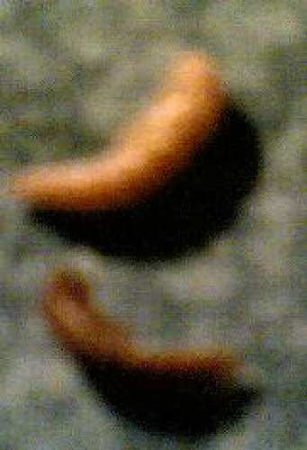 25102007.jpg