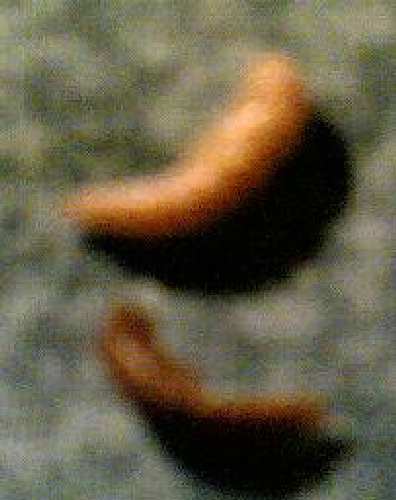 25102007.jpg