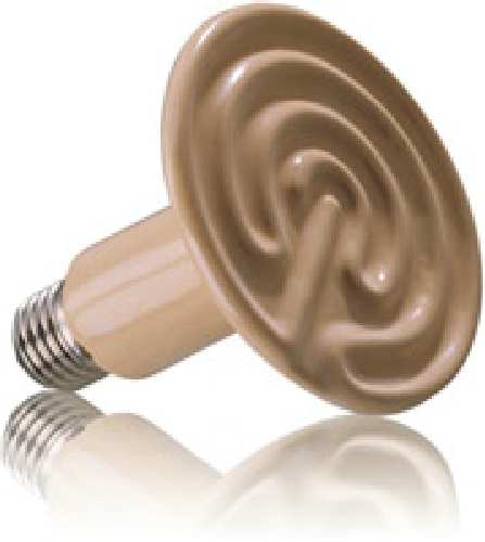 heat_wave_lamp.jpg