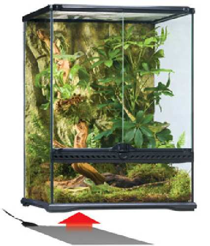 heat_wave_rainforest_terr.jpg