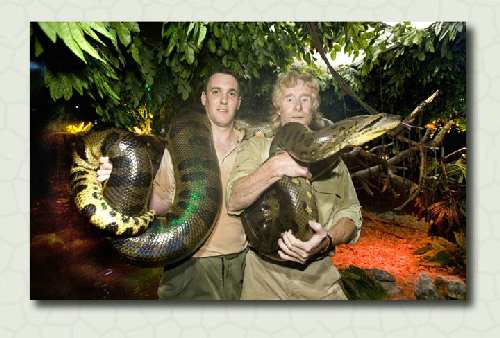 mark_adam_anaconda_720.jpg