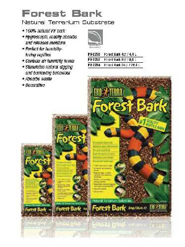 forest bark.jpg