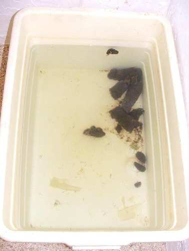 DSCF5080.JPG