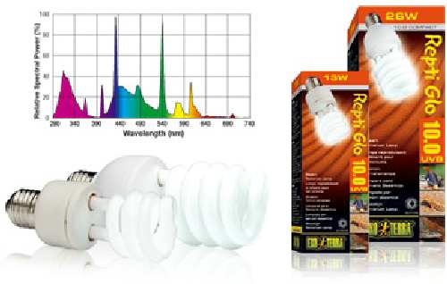 compact_bulbs_10.jpg
