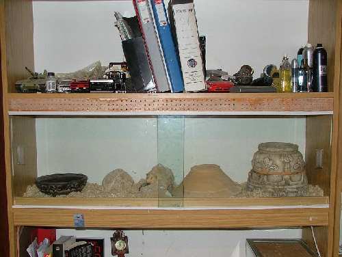 2007_1204Image0001.JPG