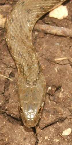 DSCF5286.JPG