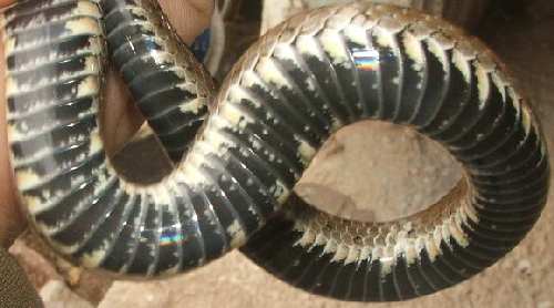DSCF5291.JPG