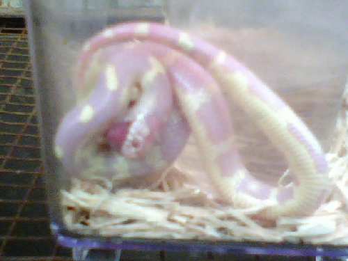1207071352.jpg