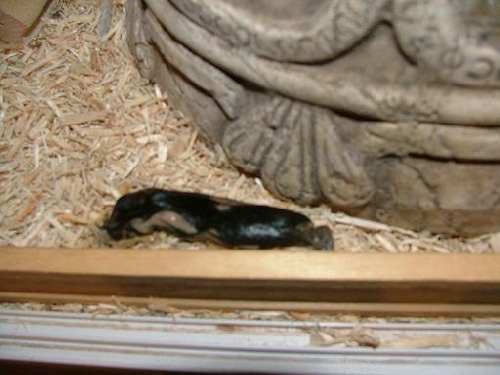 DSCF5965.JPG