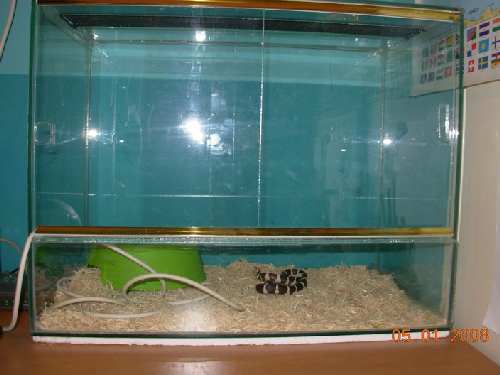 DSCN1535.jpg