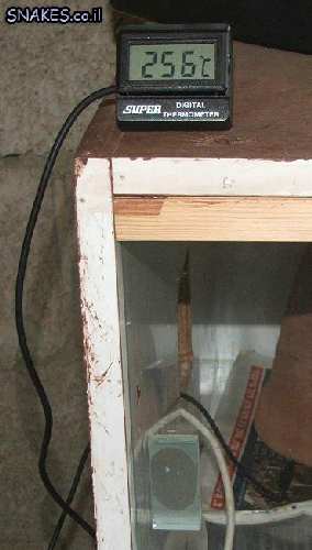 DSCF2025.JPG