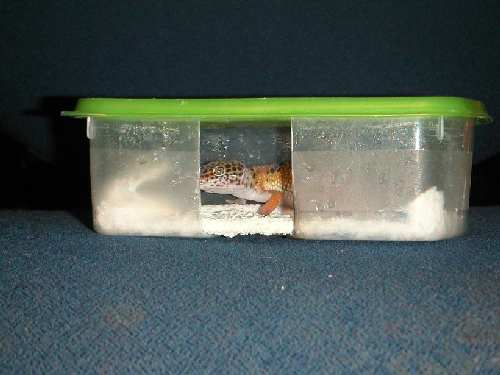 PICT00262.JPG