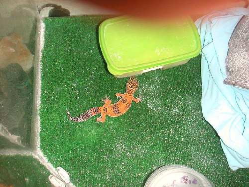 PICT00452.JPG