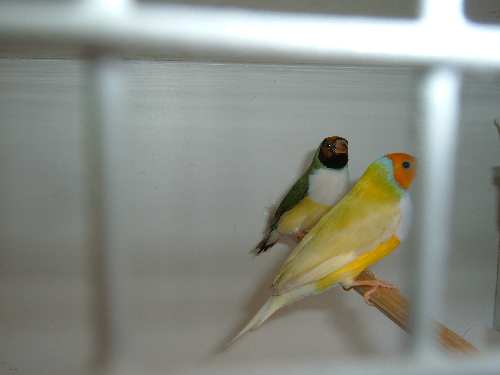 2007_0222Image0032.JPG