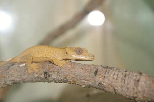 PICT0527.JPG