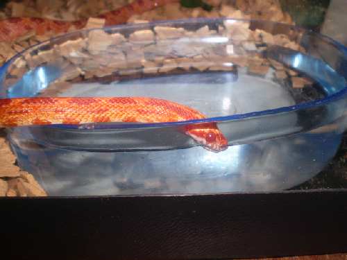 Picture 115.jpg