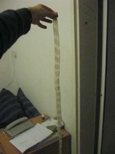Picture 004.jpg