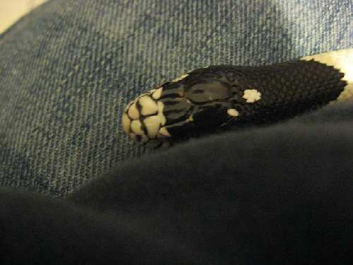 Picture 016.jpg