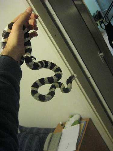 Picture 007.jpg
