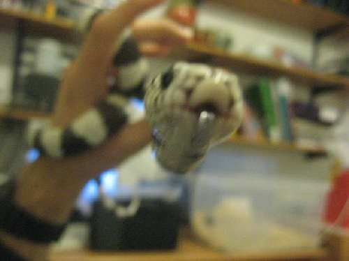 Picture 012.jpg