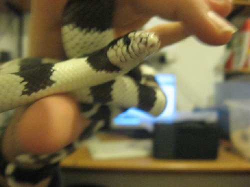 Picture 013.jpg