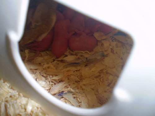 Picture 002.jpg