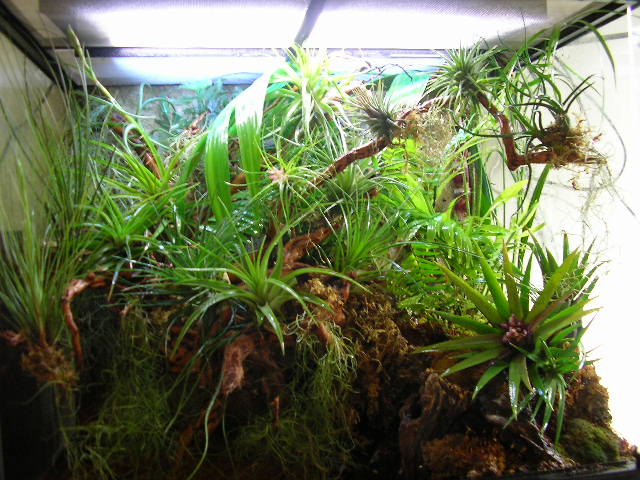 SANY0281.JPG
