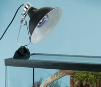sun_dome-2.jpg