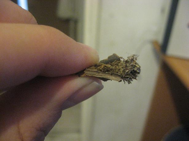 Picture 010.jpg