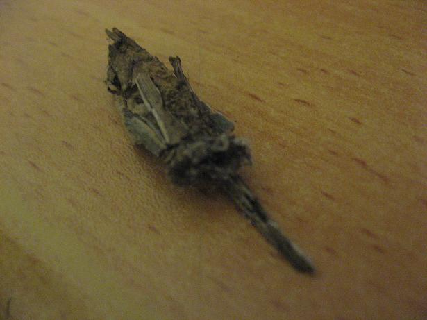 Picture 009.jpg