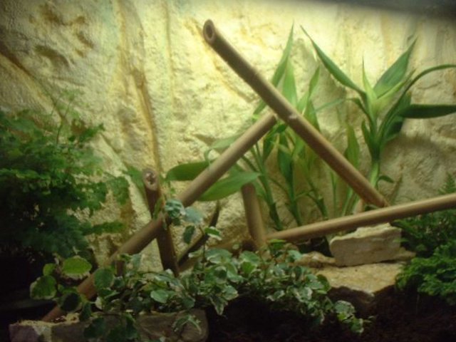 DSCF0014.JPG