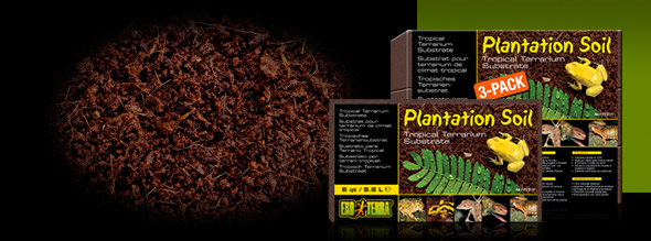 planta.jpg