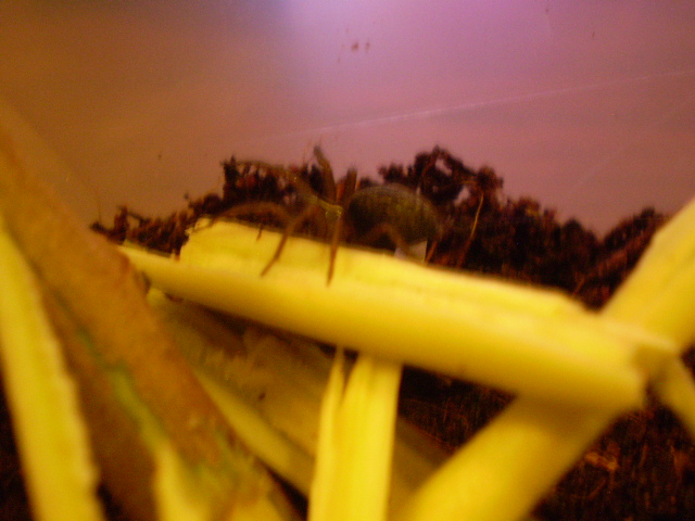 Picture 078.jpg