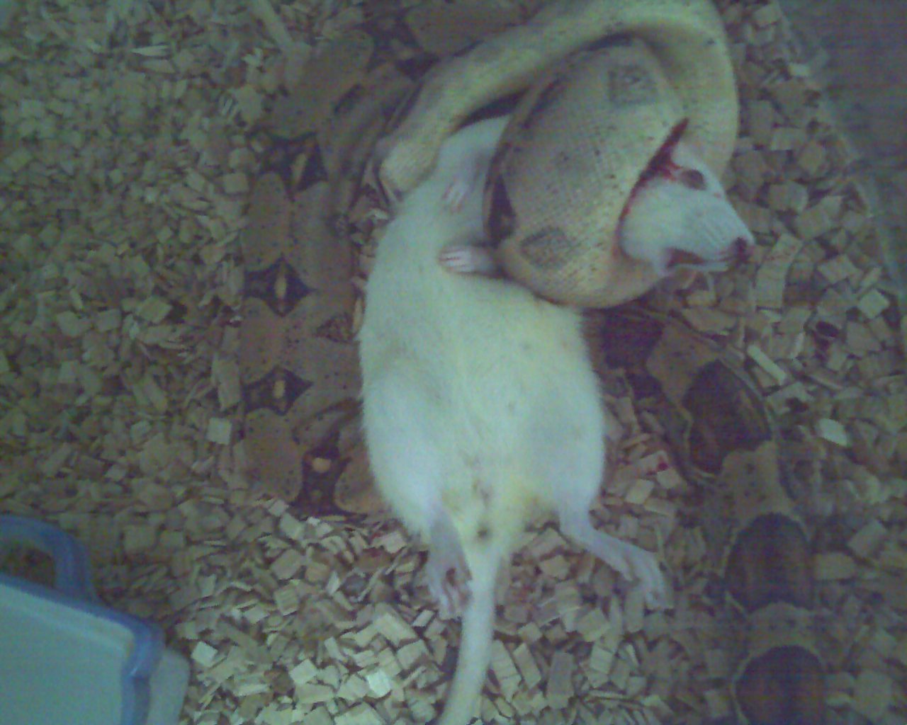 01-04-08_2036.jpg