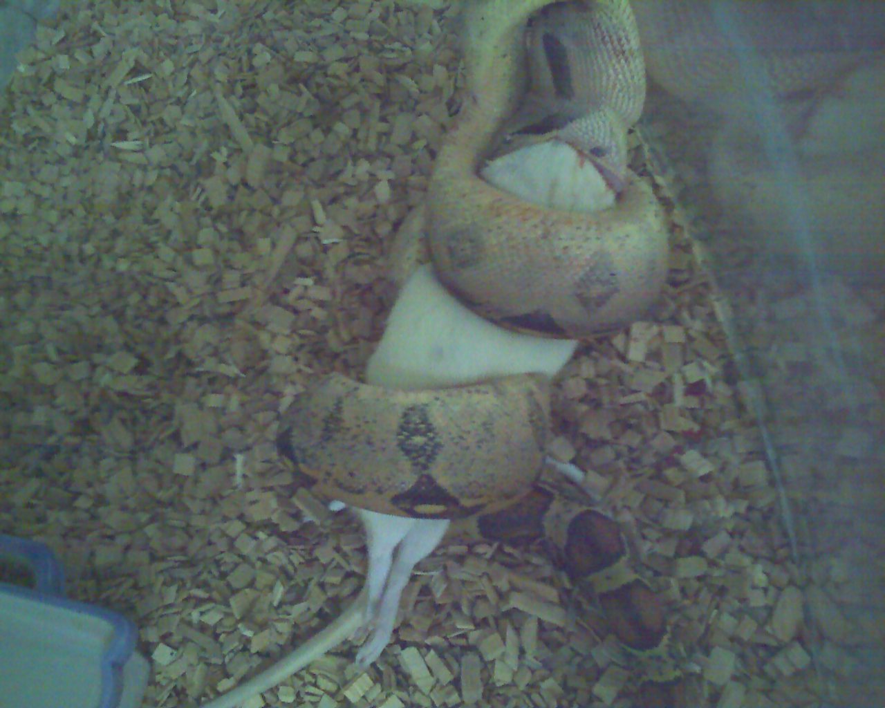 01-04-08_2054.jpg