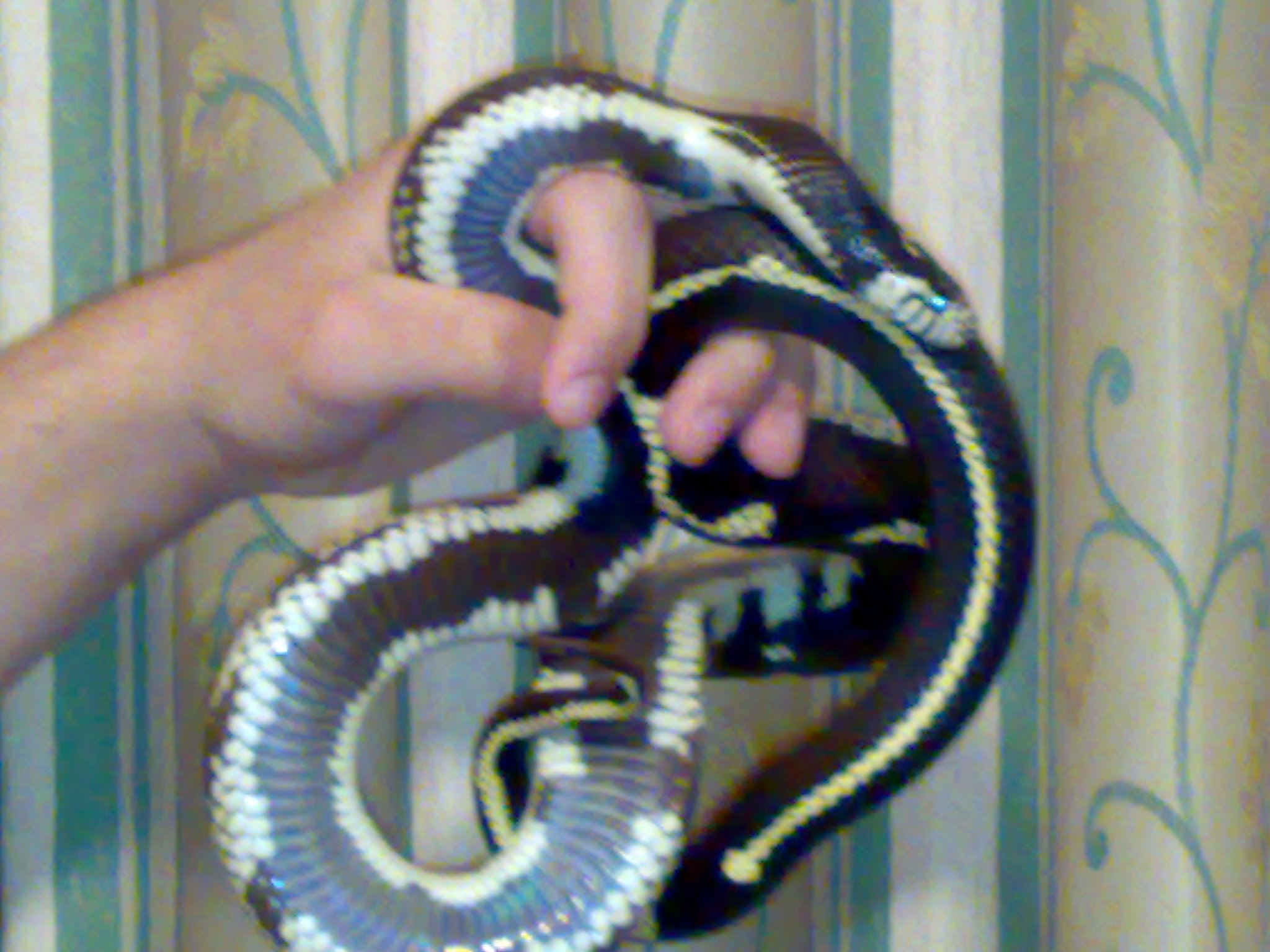 01042008085.jpg