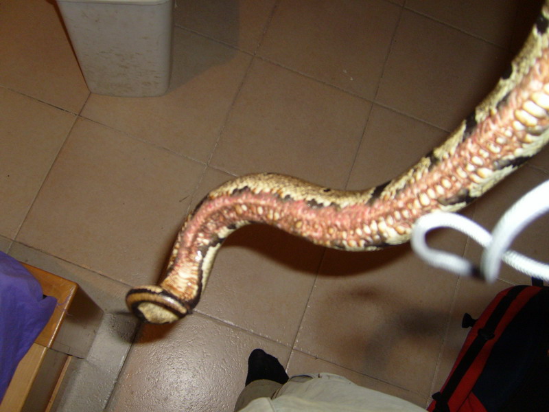 S7000751.JPG