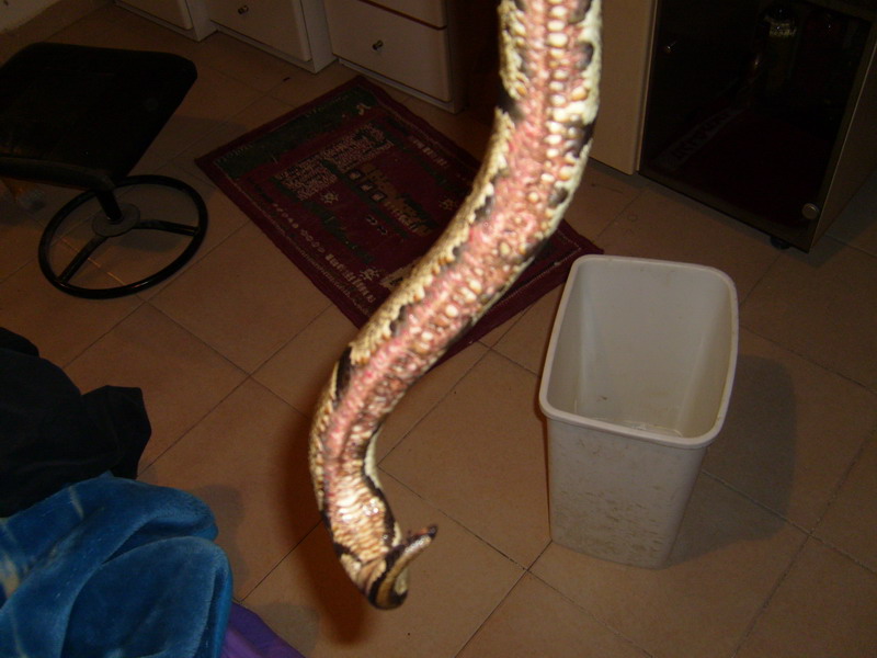 S7000753.JPG
