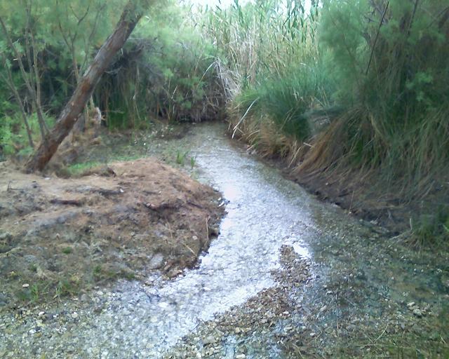 06-04-08_1513.jpg