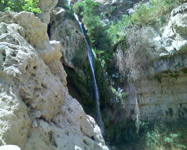 07-04-08_1249.jpg