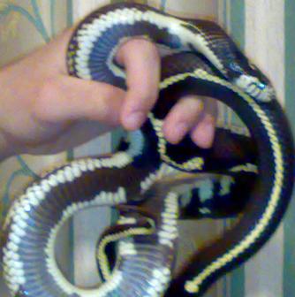 01042008085.jpg