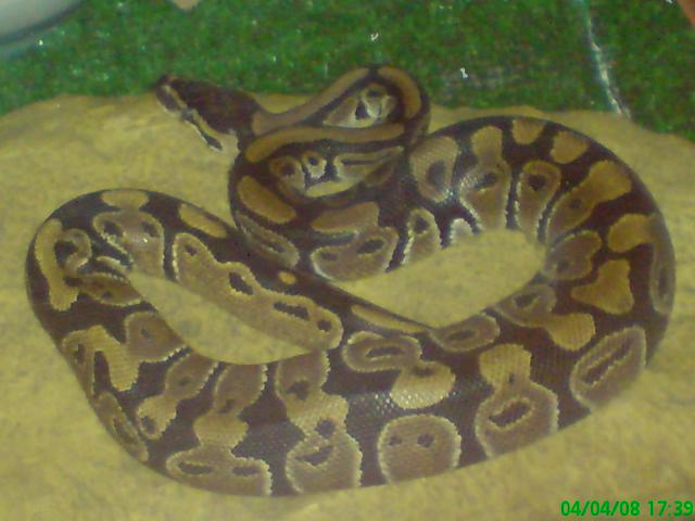DSC00321.JPG