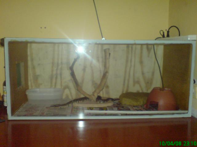 DSC00324.JPG