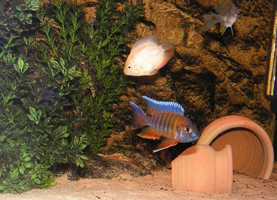 PICT0027.jpg
